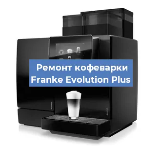 Декальцинация   кофемашины Franke Evolution Plus в Ростове-на-Дону